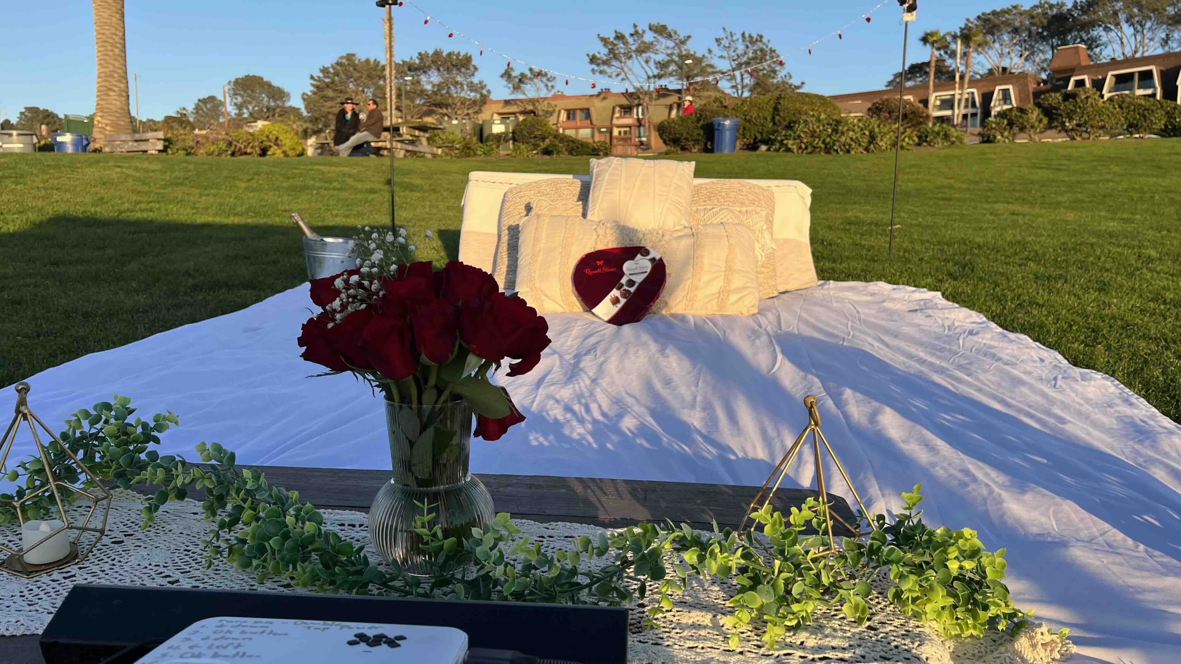 Valentine's Day Movie Night